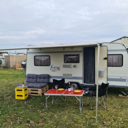 Hotel Louise'S Camper Neusiedl an der Zaya Exterior foto